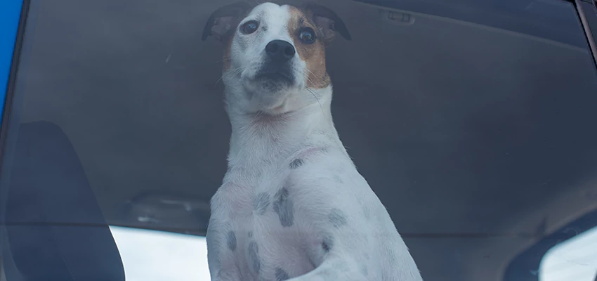 Car Lockout Solutions in Campbell, California